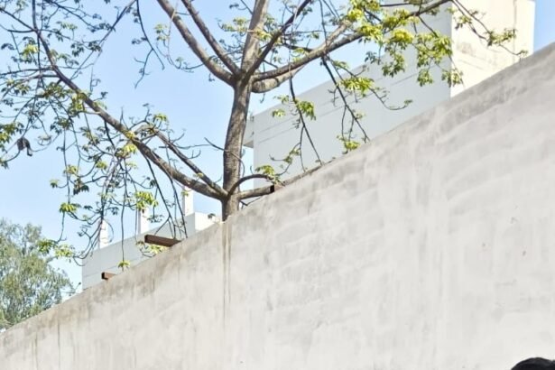 Apartment residents protest over sewerage problems and traffic chaos